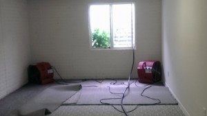 water damage