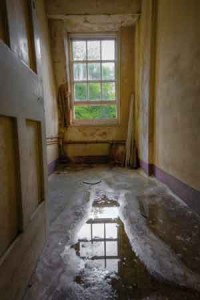 water damage tips
