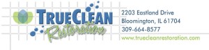 true clean logo