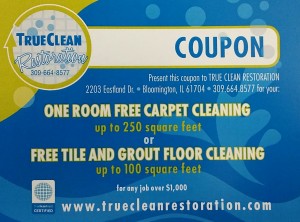 True Clean Coupon #3
